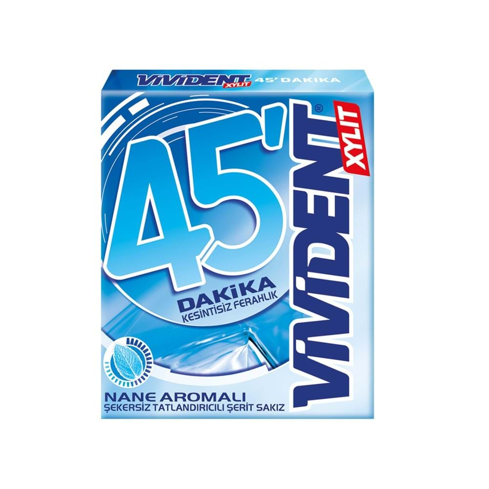 VİVİDENT 45 DK SAKIZ NANE 33 G