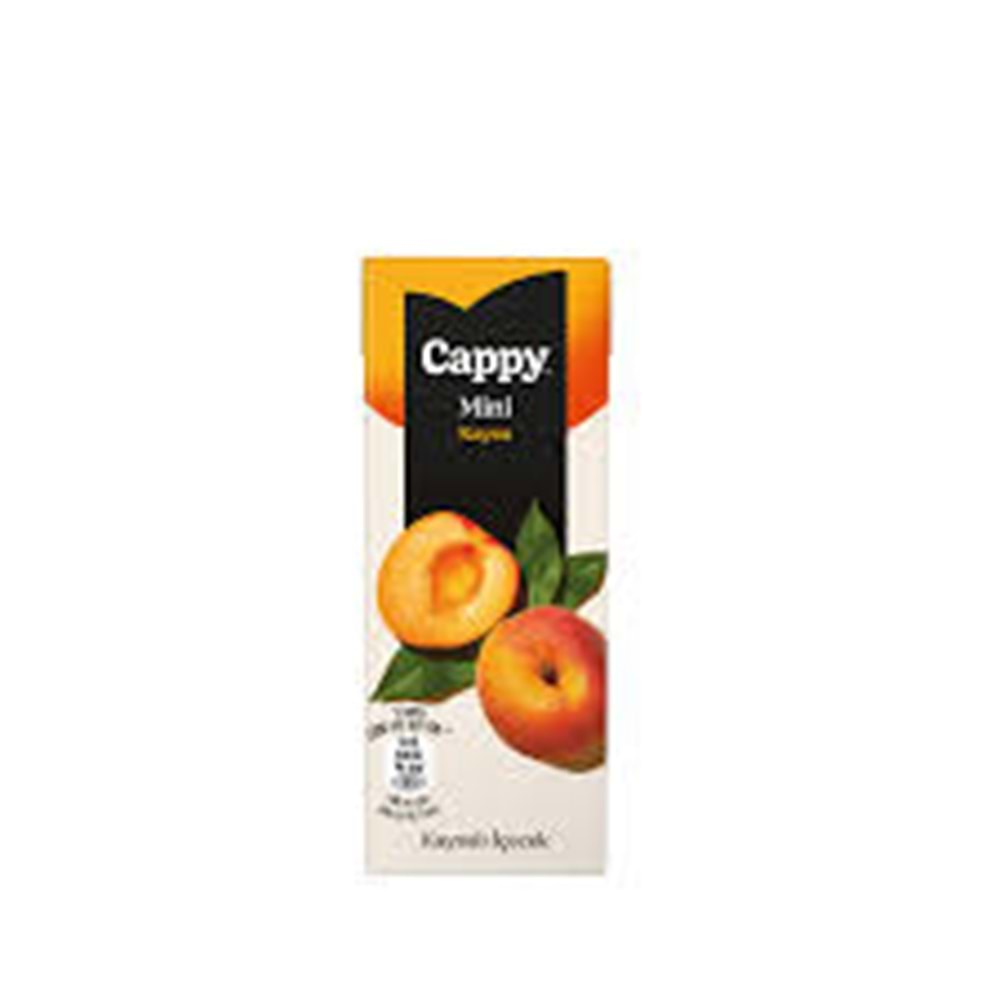 CAPPY KAYISI MEYVE NEKTARI 200 ML