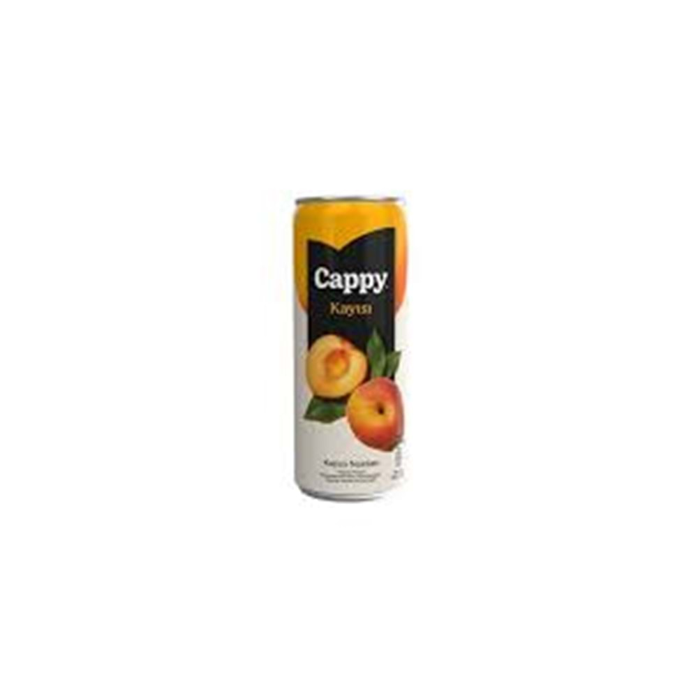 CAPPY KAYISI MEYVE NEKTARI KUTU 330 ML