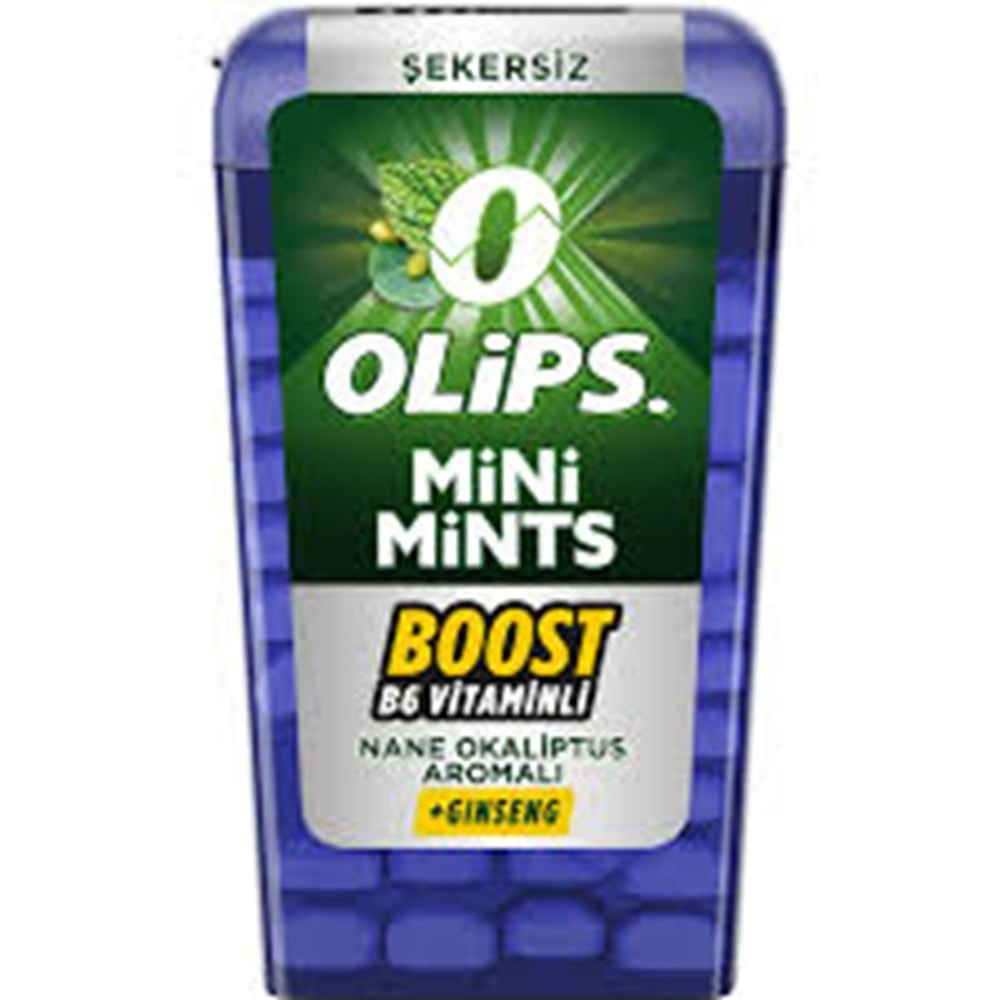 KENT OLİPS MİNİ MİNTS NANE GİNS. 12,5 G