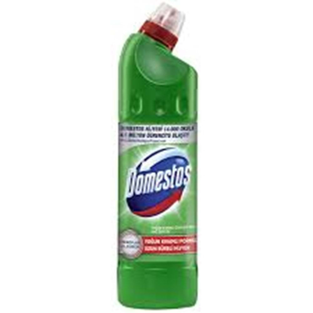 DOMESTOS DAĞ ESİNTİSİ