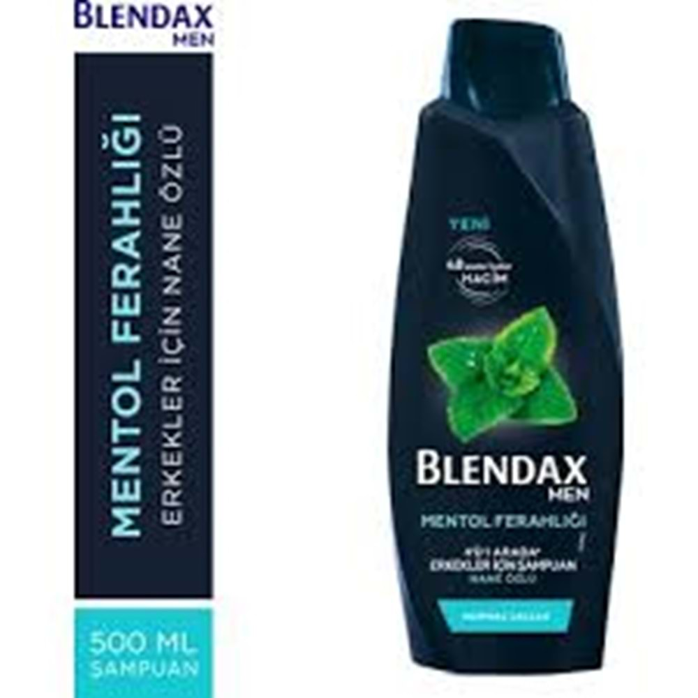 BLENDAX ERKEK MENTOL ŞAMPUAN 500 ML