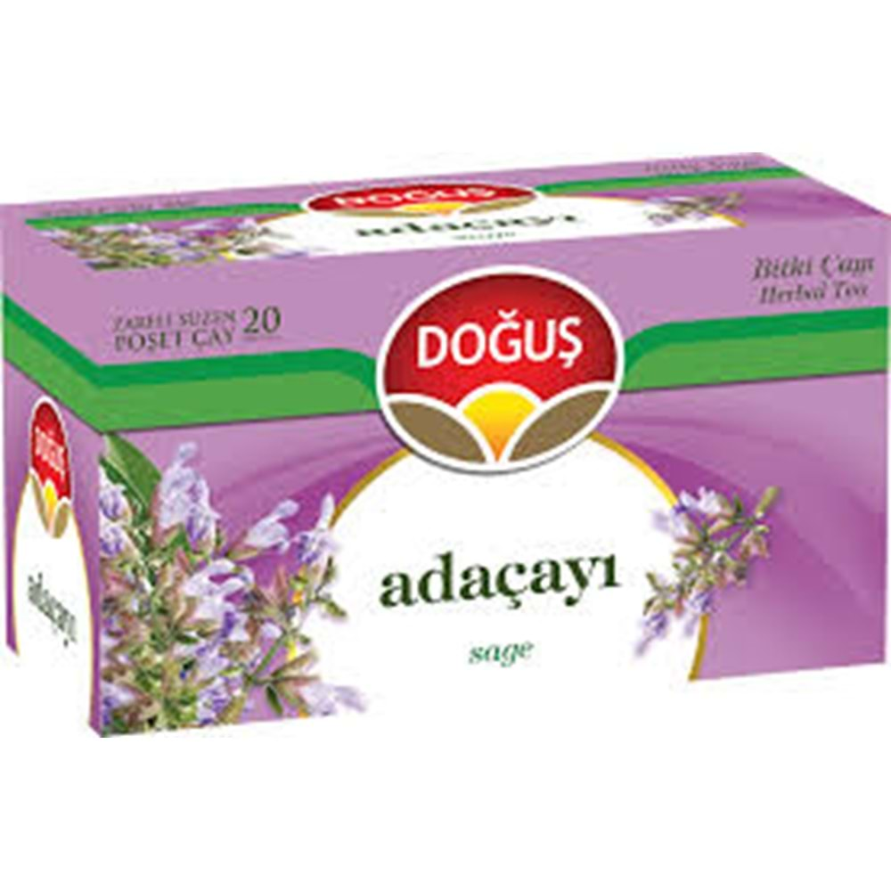 DOĞUŞ ADAÇAYI 20 LI