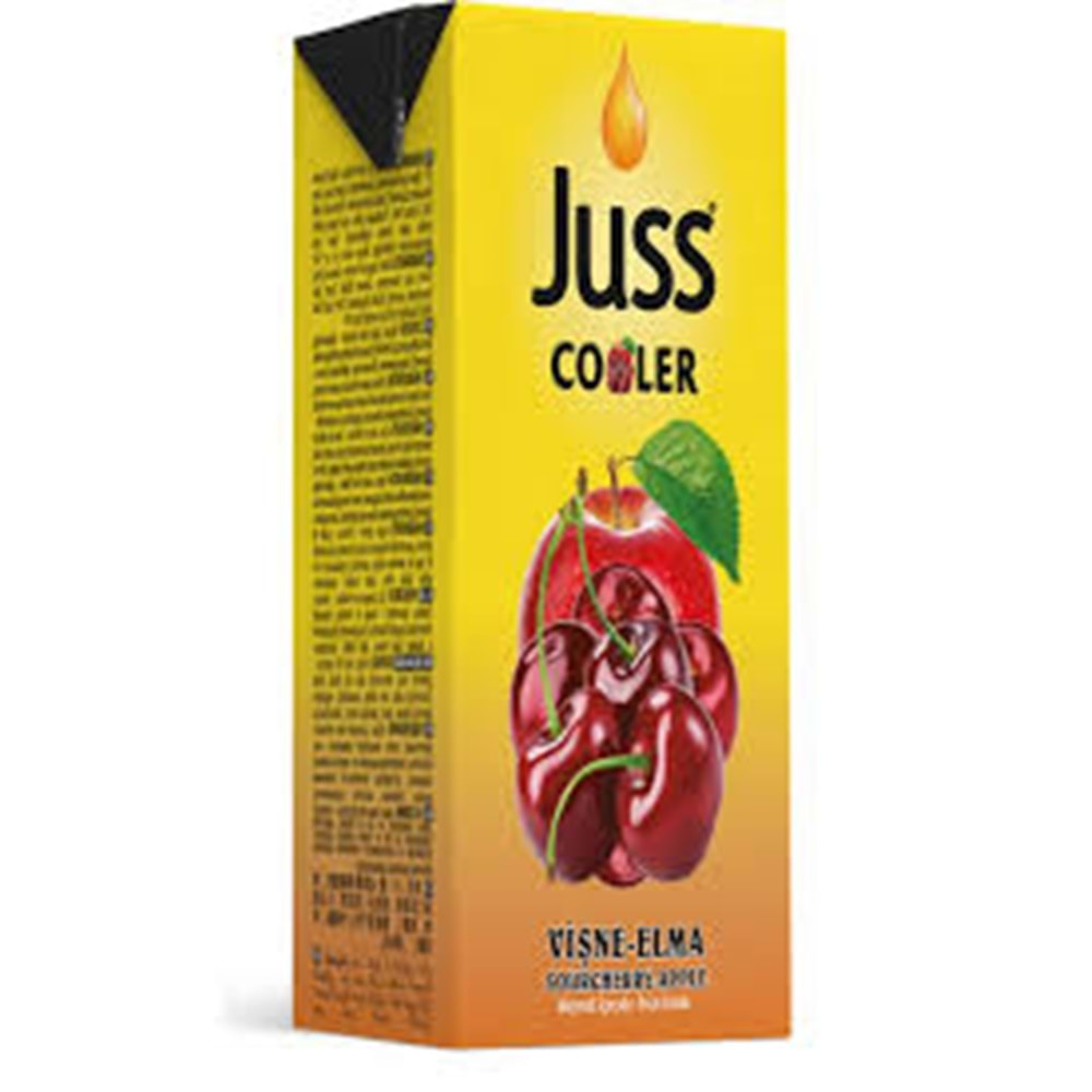 JUSS İÇECEK VİŞNE 200 ML