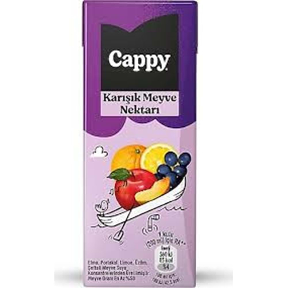 CAPPY KARIŞIK MEYVE NEKTARI 200 ML