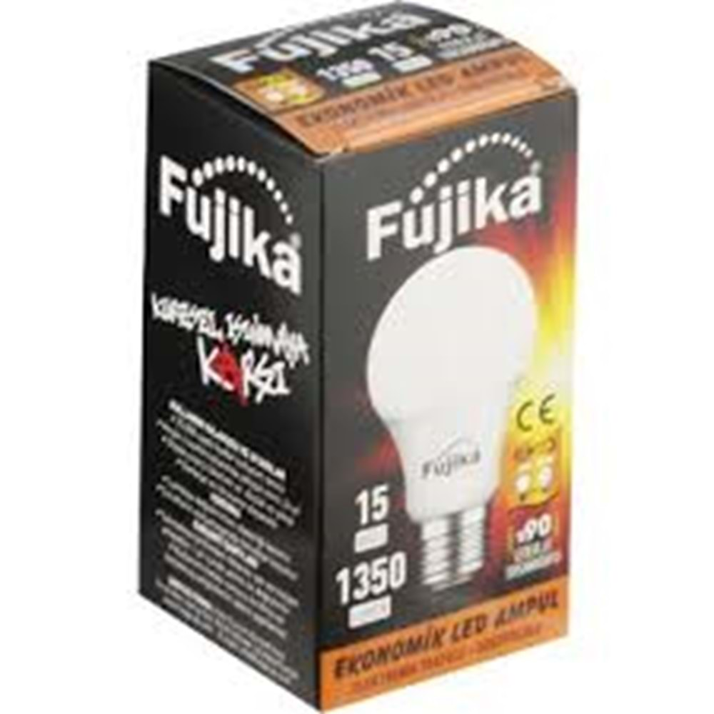 FUJİKA 15 WALT