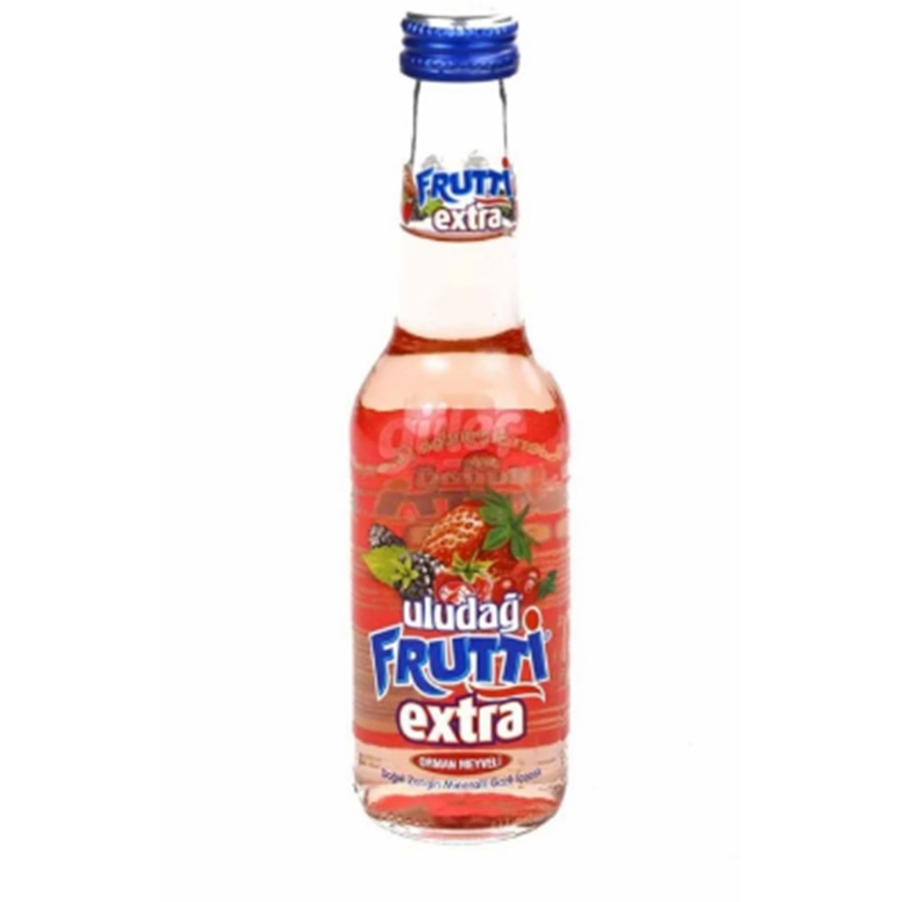 FRUTTİ EKSTRA 250ML