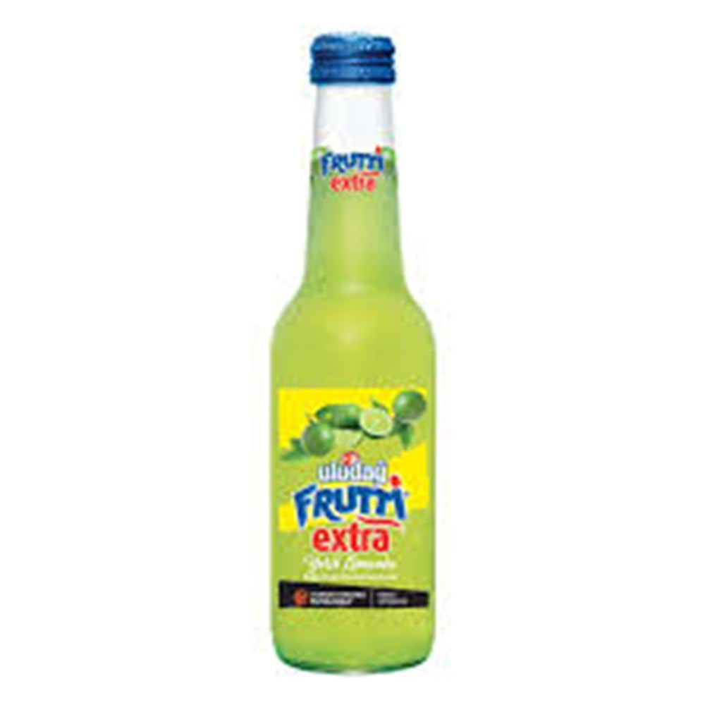 ULUDAĞ FRUTTİ YEŞİL LİMON 250ML