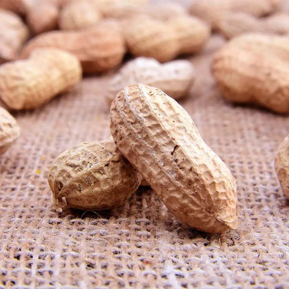 AKAR KABUKLU FISTIK 110G
