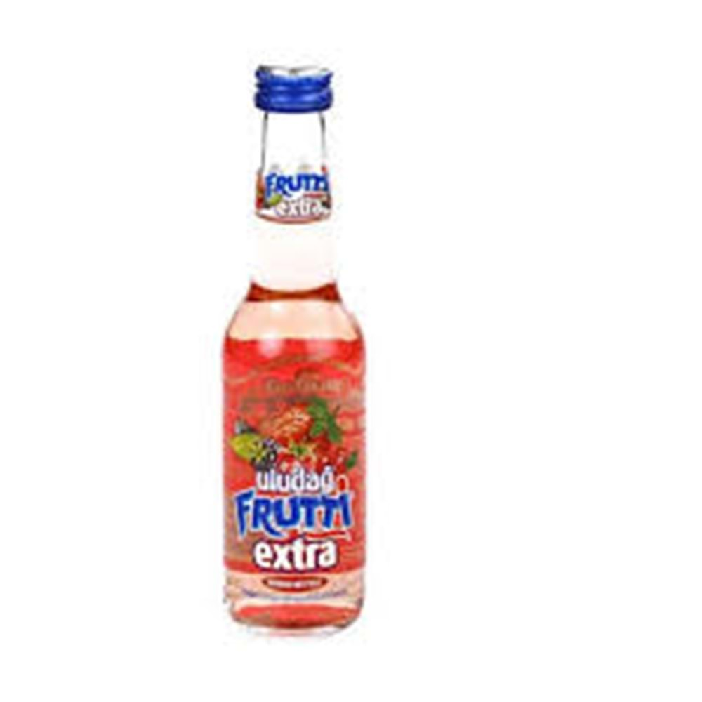 FRUTTİ EKSTRA ORMAN MEYVELİ 250ML