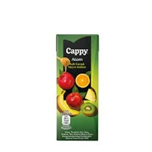 CAPPY MİNİ ATOM MEYVE NEKTARI 200 ML