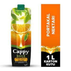 CAPPY PORTAKAL MEYVE NEKTARI 1 L