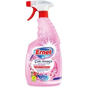 ERNET ÇOK AMAÇLI GÜÇLÜ TEMİZLİK ADET