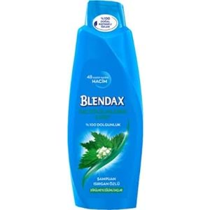 BLENDAX ISIRGAN ÖZLÜ ŞAMPUAN 500 ML