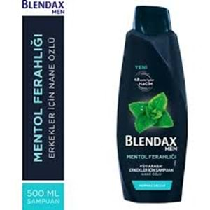 BLENDAX ERKEK MENTOL ŞAMPUAN 500 ML