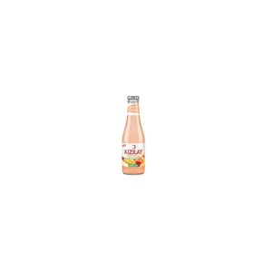 KIZILAY ŞEFTALİ MANGO 200 ML