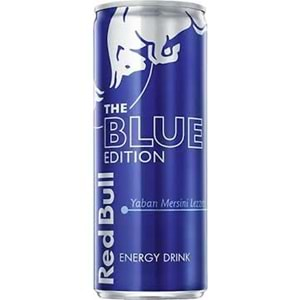 REDBULL THE BLUE EDITION 250ML