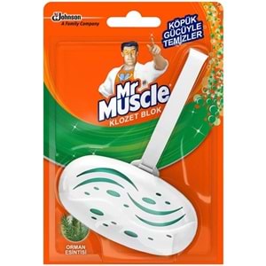 MR MUSCLE OKYANUS ESİNTİSİ 40 GR