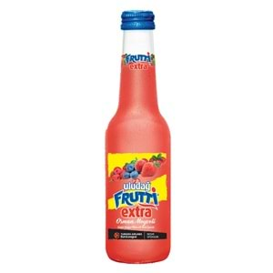 FRUTTİ EKSTRA ORMAN MEYVELİ 250ML