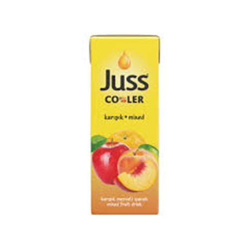 JUSS COOLER KARIŞIK 200 ML