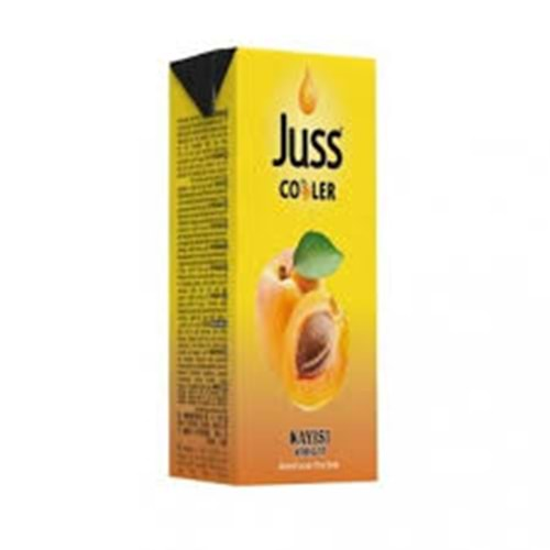 JUSS COOLER KAYISI 200 ML