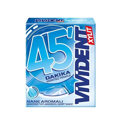 VİVİDENT 45 DK SAKIZ NANE 33 G