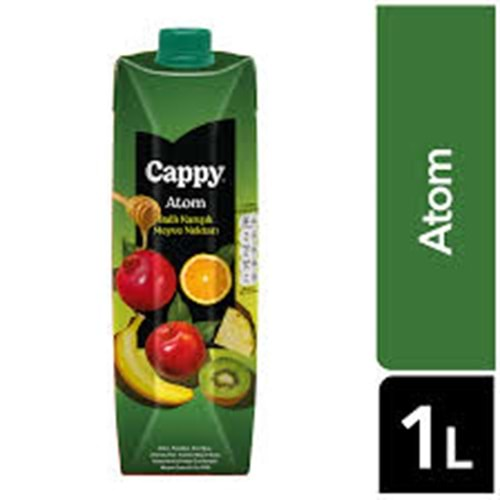 CAPPY ATOM MEYVE NEKTARI 1 L