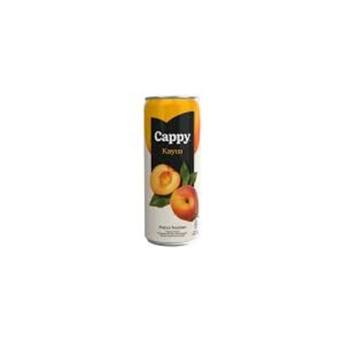 CAPPY KAYISI MEYVE NEKTARI KUTU 330 ML