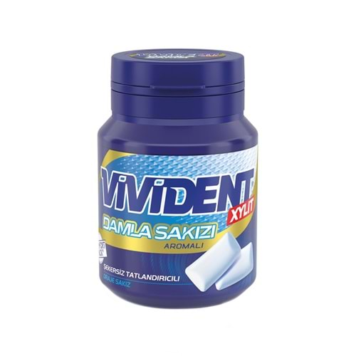 VİVİDENT DAMLA SAKIZLI KUTU 67 G