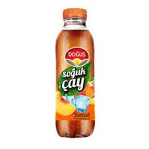 DOĞUŞ SOĞUK ÇAY 250 ML