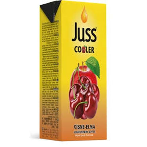 JUSS İÇECEK VİŞNE 200 ML