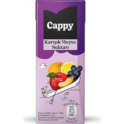 CAPPY KARIŞIK MEYVE NEKTARI 200 ML