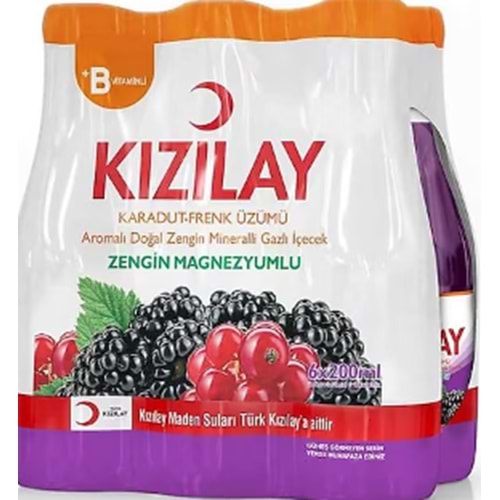 KIZILAY 6LI FRENK ÜZÜMLÜ SODA