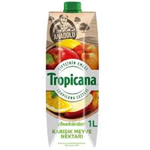 TROPICANA KARISIK MEYVE SUYU