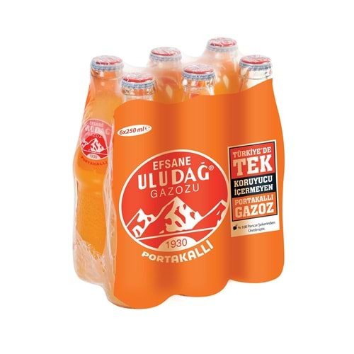 ULUDAĞ PORTAJKALLI GAZOZ 250ML