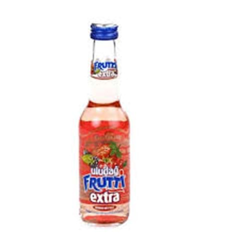 FRUTTİ EKSTRA ORMAN MEYVELİ 250ML